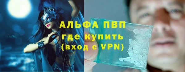шишки Абаза