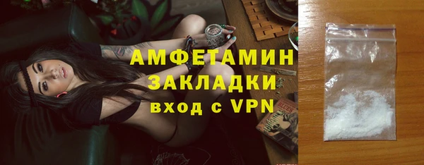 шишки Абаза