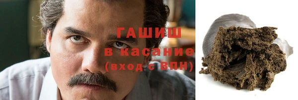 шишки Абаза