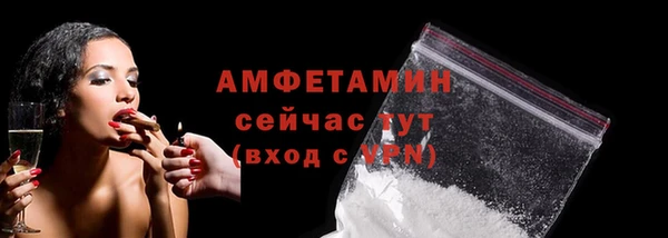 шишки Абаза
