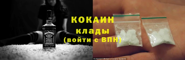 шишки Абаза