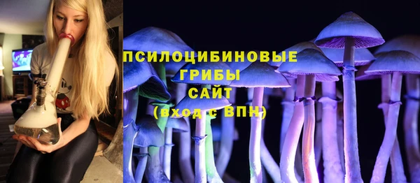 шишки Абаза