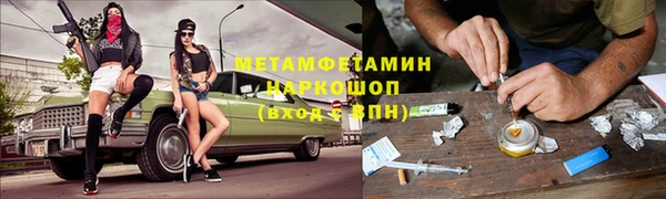 шишки Абаза