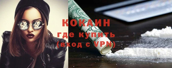 шишки Абаза