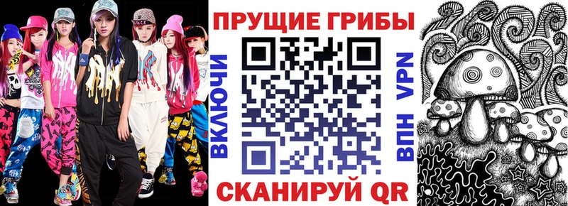 darknet официальный сайт  Новотитаровская  Псилоцибиновые грибы Psilocybine cubensis  как найти  